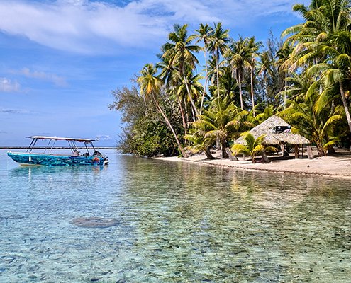 Rechts sind Palmen und ein Strand, links das kristallklare Wasser, darauf in ein kleines Boot