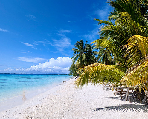 Weißer Strand mit Palmen und Sitzgelegenheiten