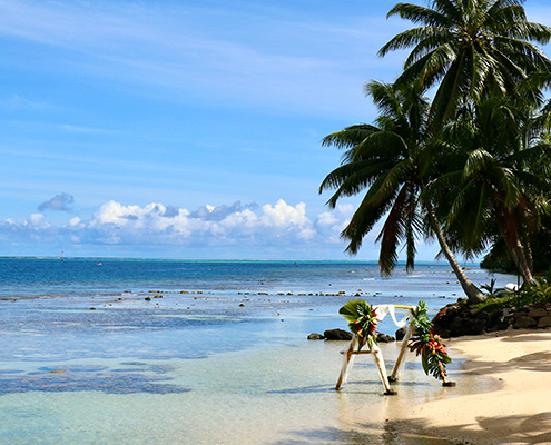 Ein Strandabschnitt mit kristallklarem Wasser und Palmen