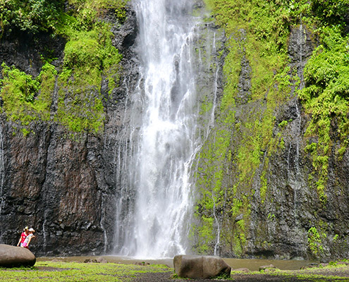 Ein Wasserfall umgeben von grün überdeckten Felsen